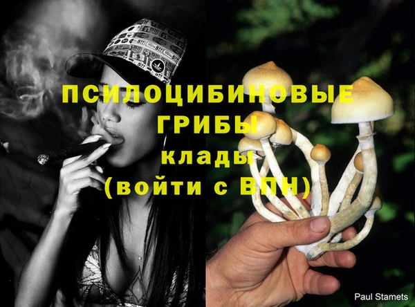 каннабис Алзамай